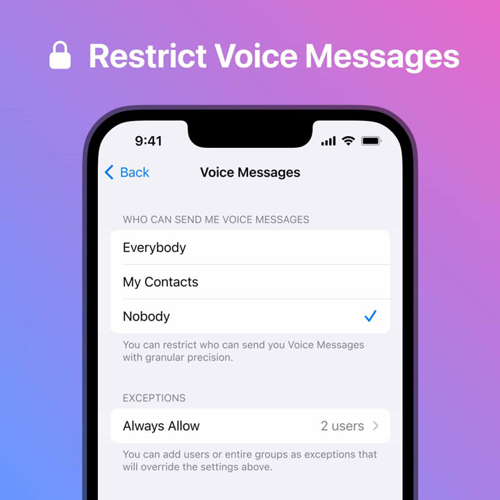 Privacy Settings for Voice Messages