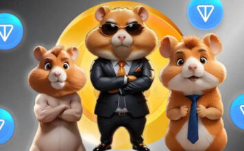 All You Have to Know about Hamster Kombat Game hamster kombat game