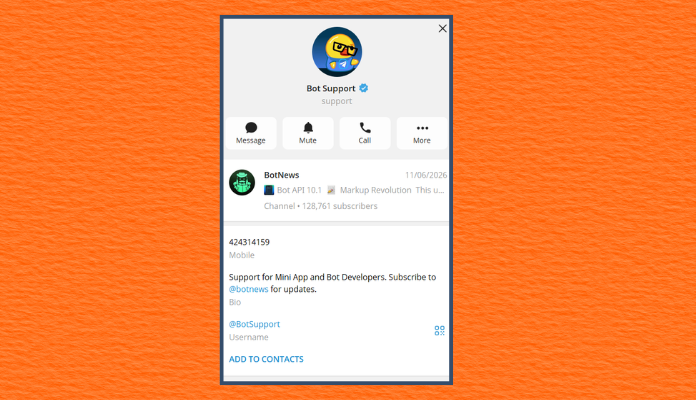 botsupport for developers
