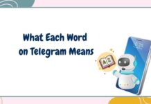 Telegram Bot Vocabulary: What Each Word on Telegram Means Telegram Bot Vocabulary